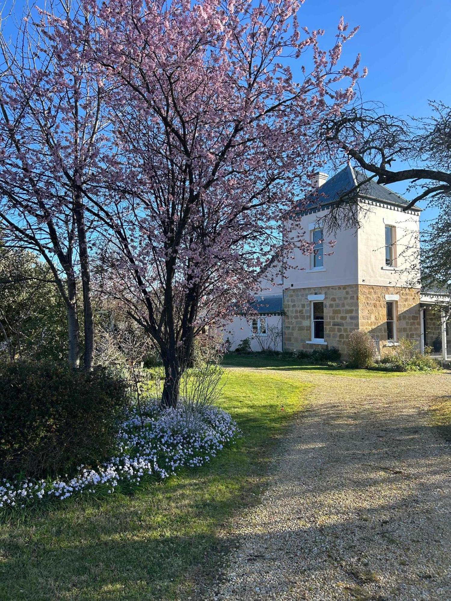 Bonnie Blink - Historic 1874 Home With Bush Views Little Hartley Buitenkant foto